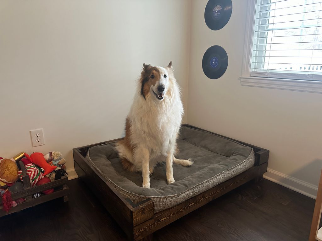 Custom dog bed woodworking project in a home corner